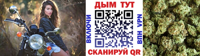 где можно купить наркотик  Кодинск  Бошки марихуана семена 